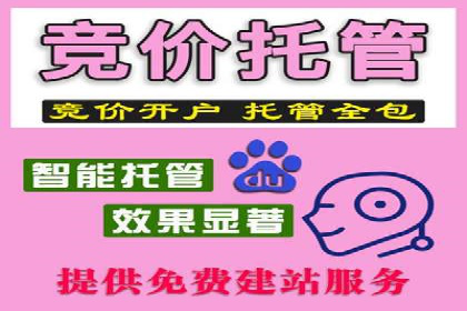 高效营销利器——百度竞价代理实操案例